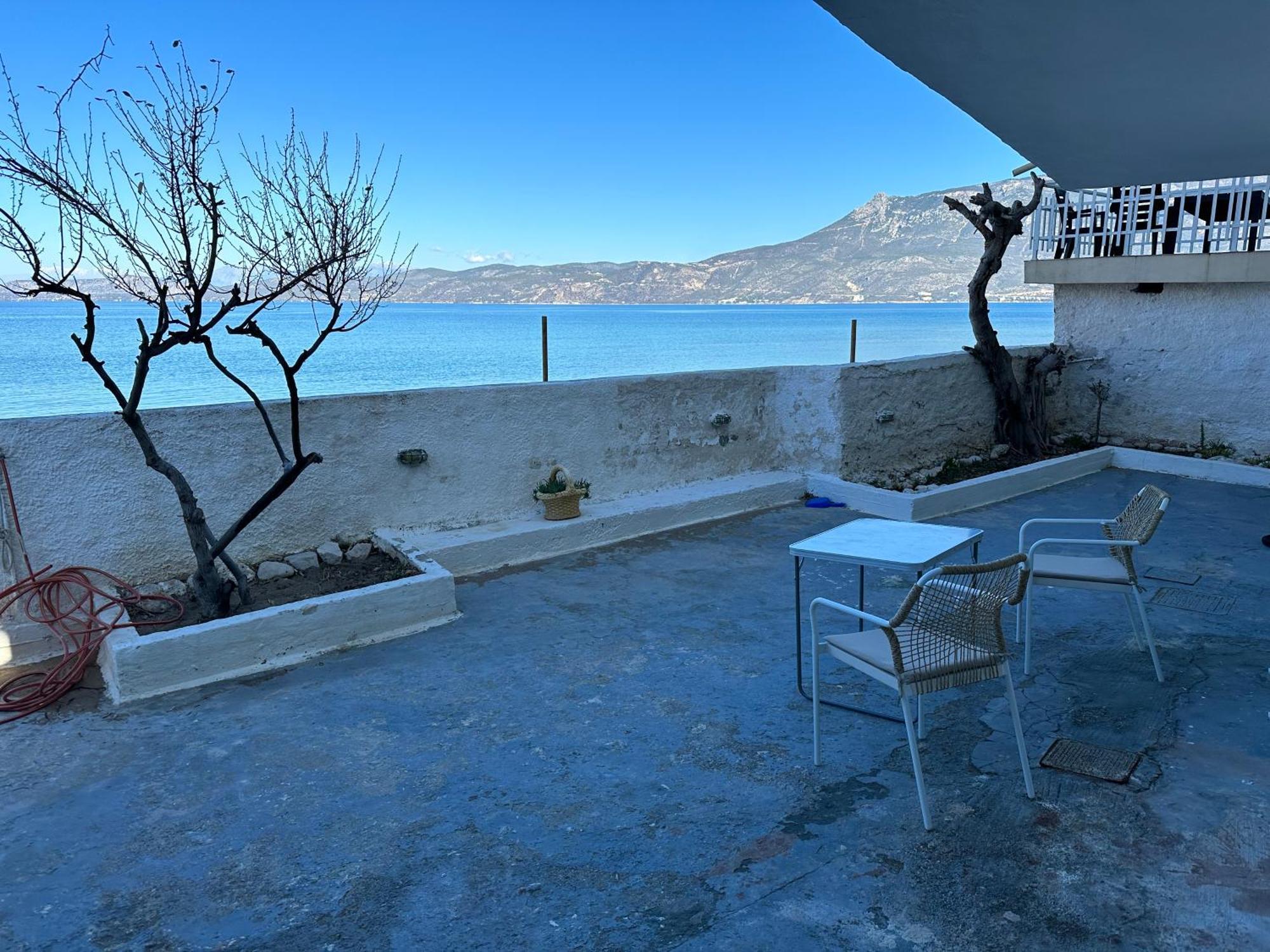 Dolphins Apartment *
